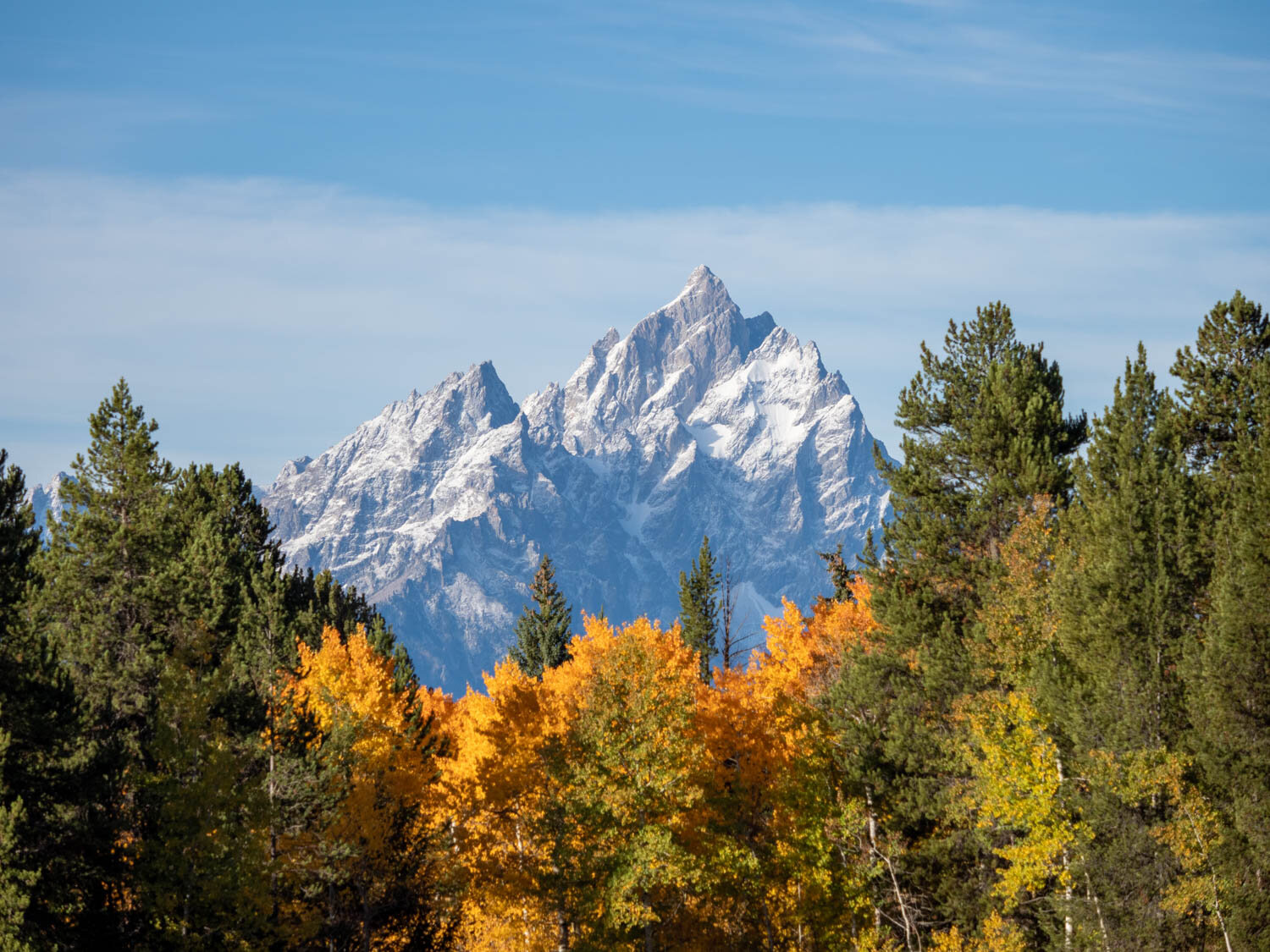 The Best Spots For Fall Colors in The Tetons