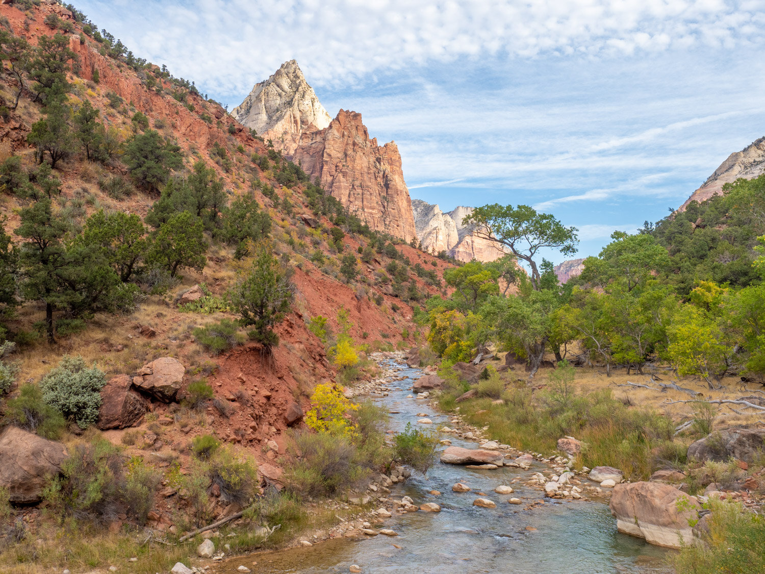 What To Do In Zion National Park